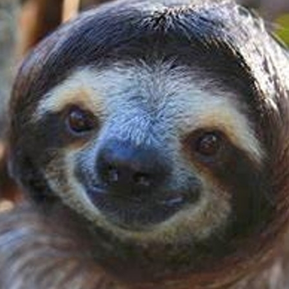 Meet your Posher, Jake - Picture 1 of 1